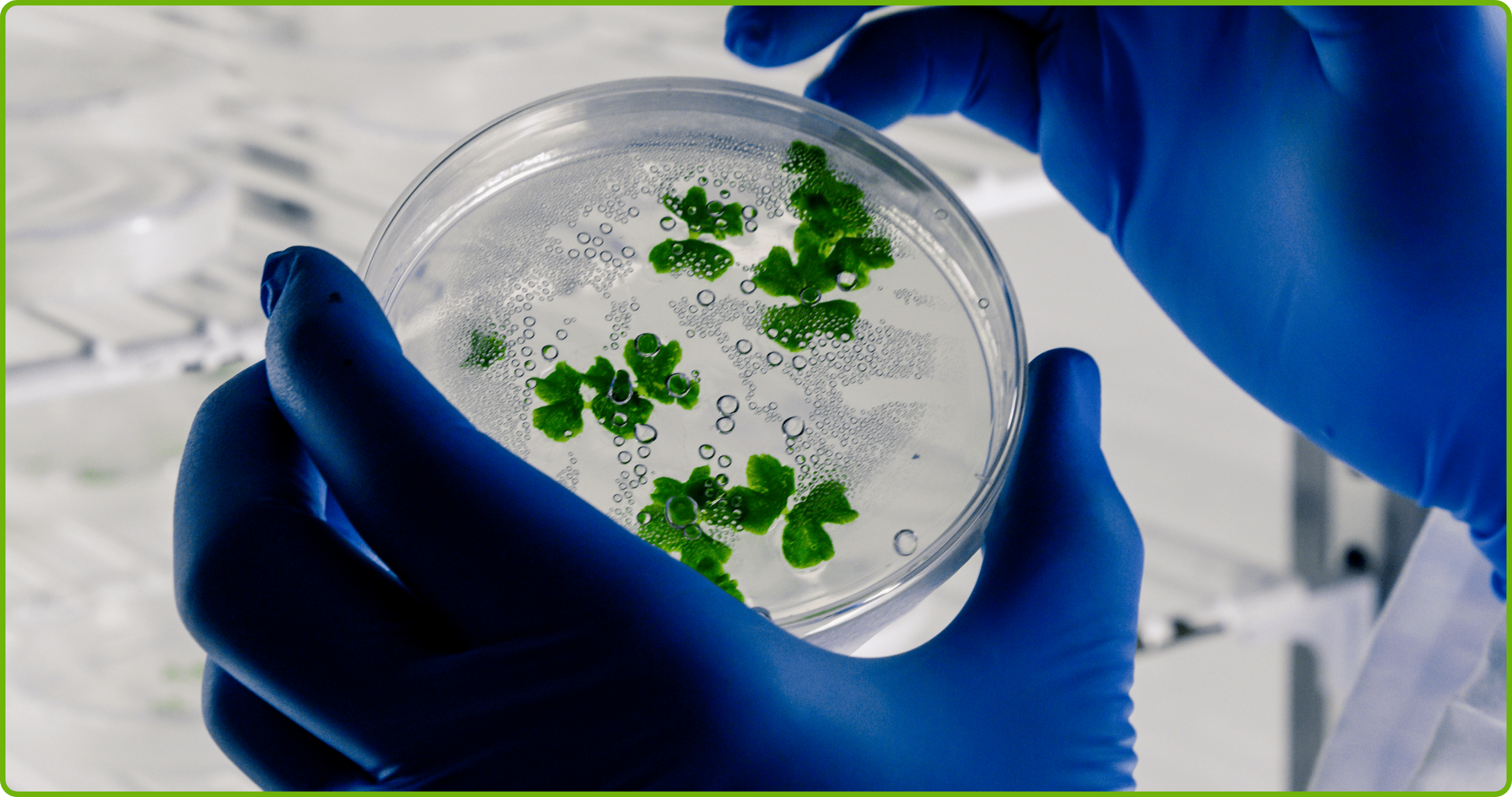 Laboratory Worker